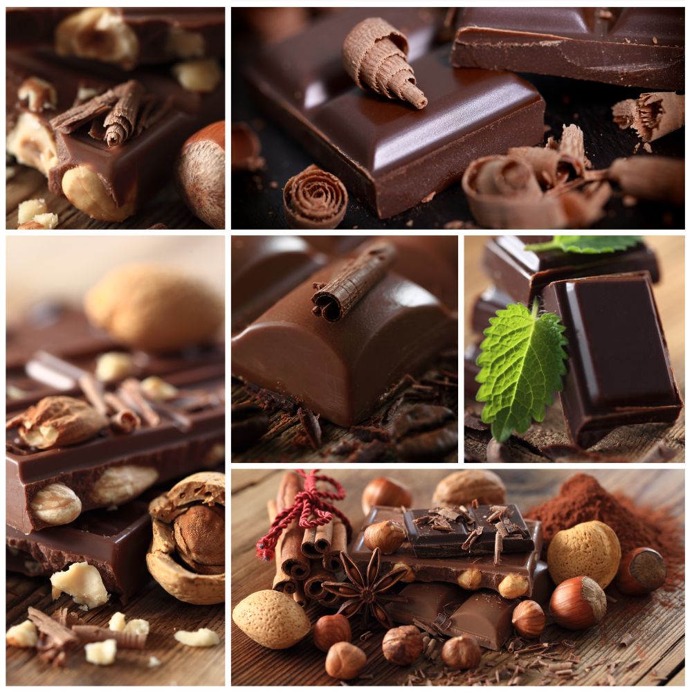 Schokolade als Belohnung sollte für den Spitz absolut tabu sein.